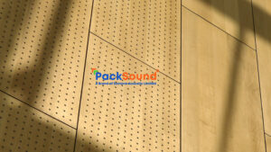 3 | Packsound- Ecotone Acoustic Limited