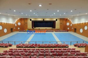 rsz_auditorium_acoustics_treatment_by_ecotone 1